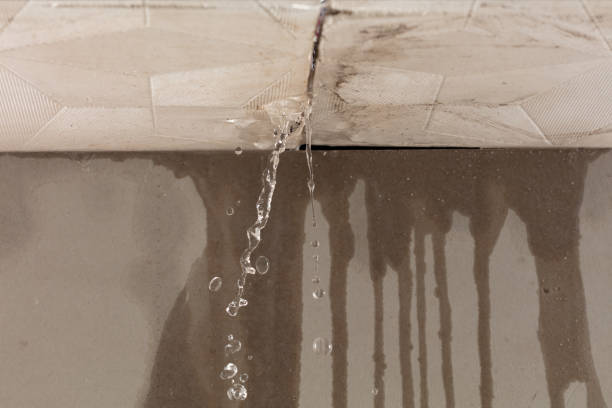 Professional Burst Pipe Cleanup technician working in Westville, SC